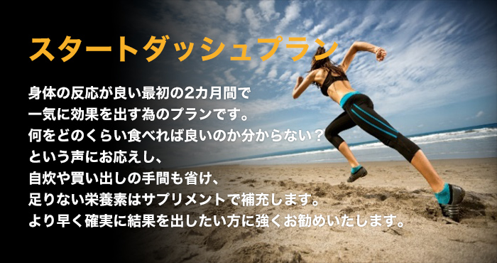 スタートダッシュプラン